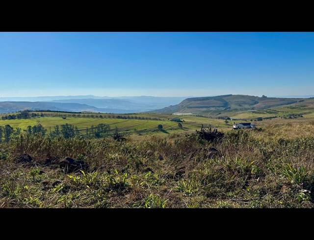 LAND FOR SALE IN MOUNT VERDE